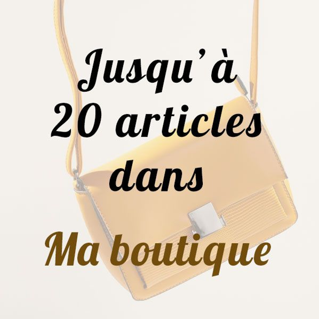 Jusqu'à 20 articles présentés