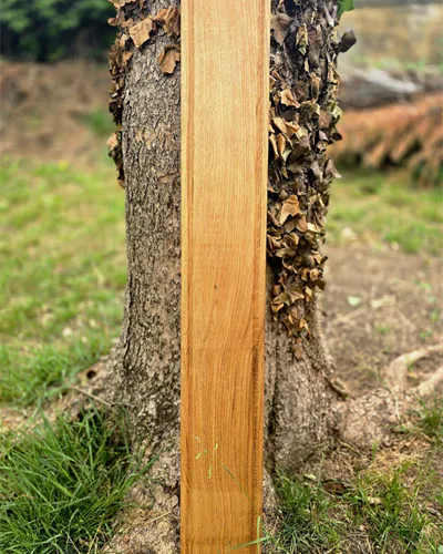 Planche à tapas XXL en chêne massif posée debout contre un tronc d’arbre, Geste & Grain